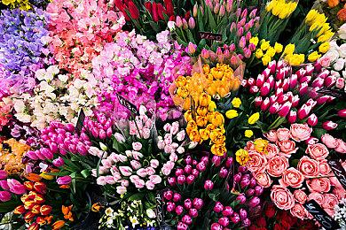 Win11系统上登陆某些射击游戏 会触发BattlEye而被封号