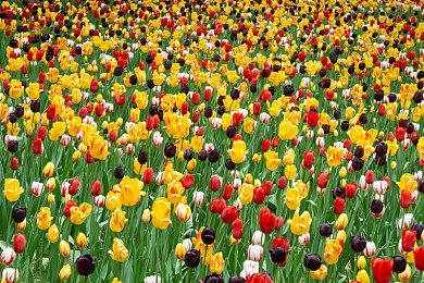 北京青年报力挺《捞女游戏》：情感反诈，刻不容缓！